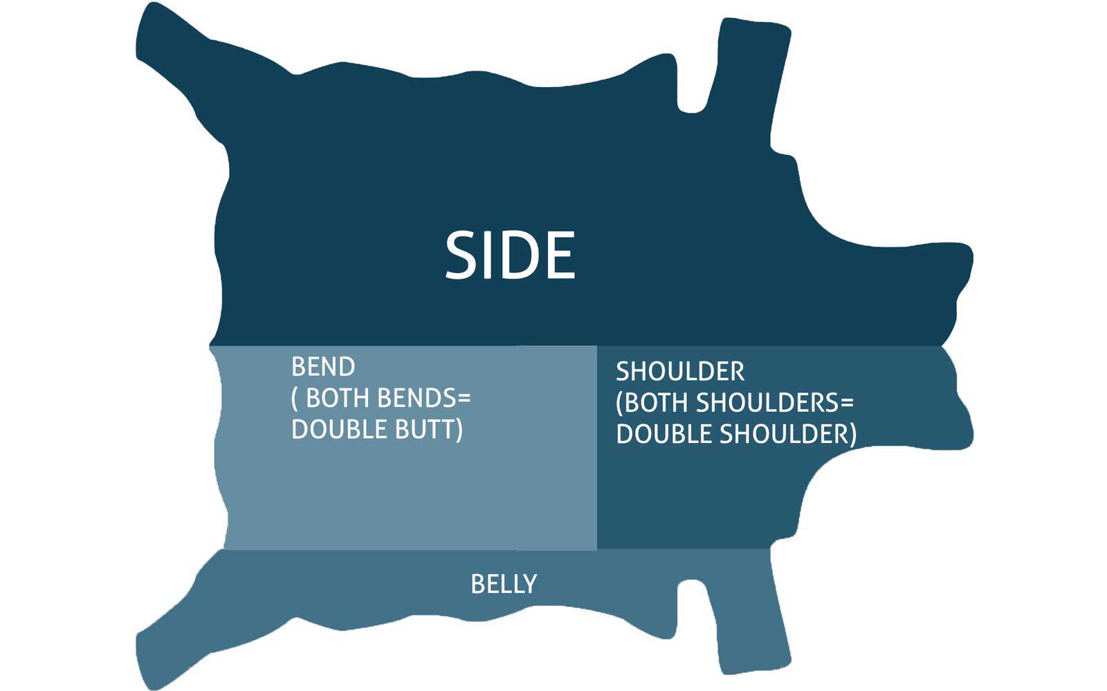 Diagram of leather hide parts belly shoulder bend side