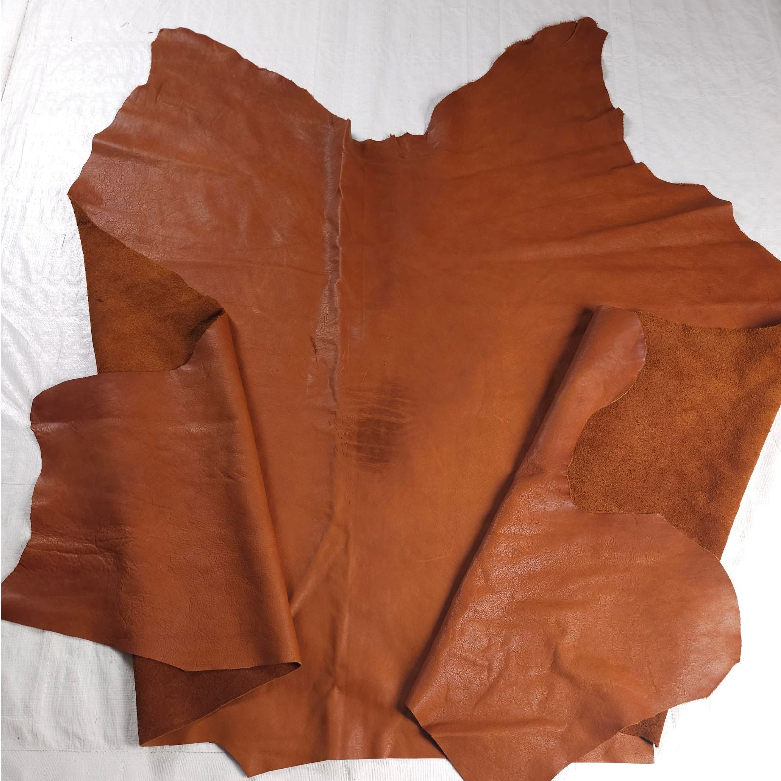 Large cut Veg tan leather full view