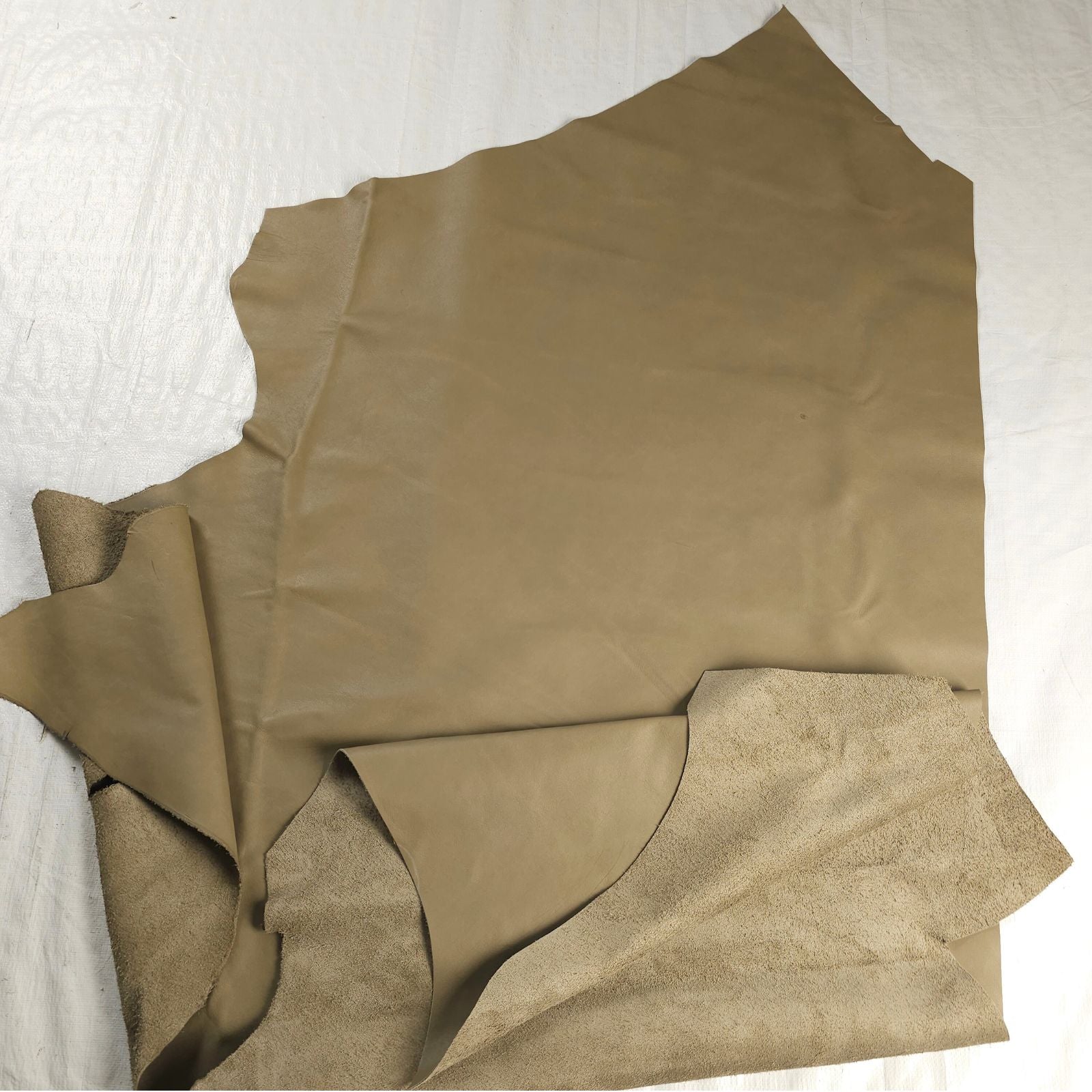 Large chrome-tanned leather cut hide section.