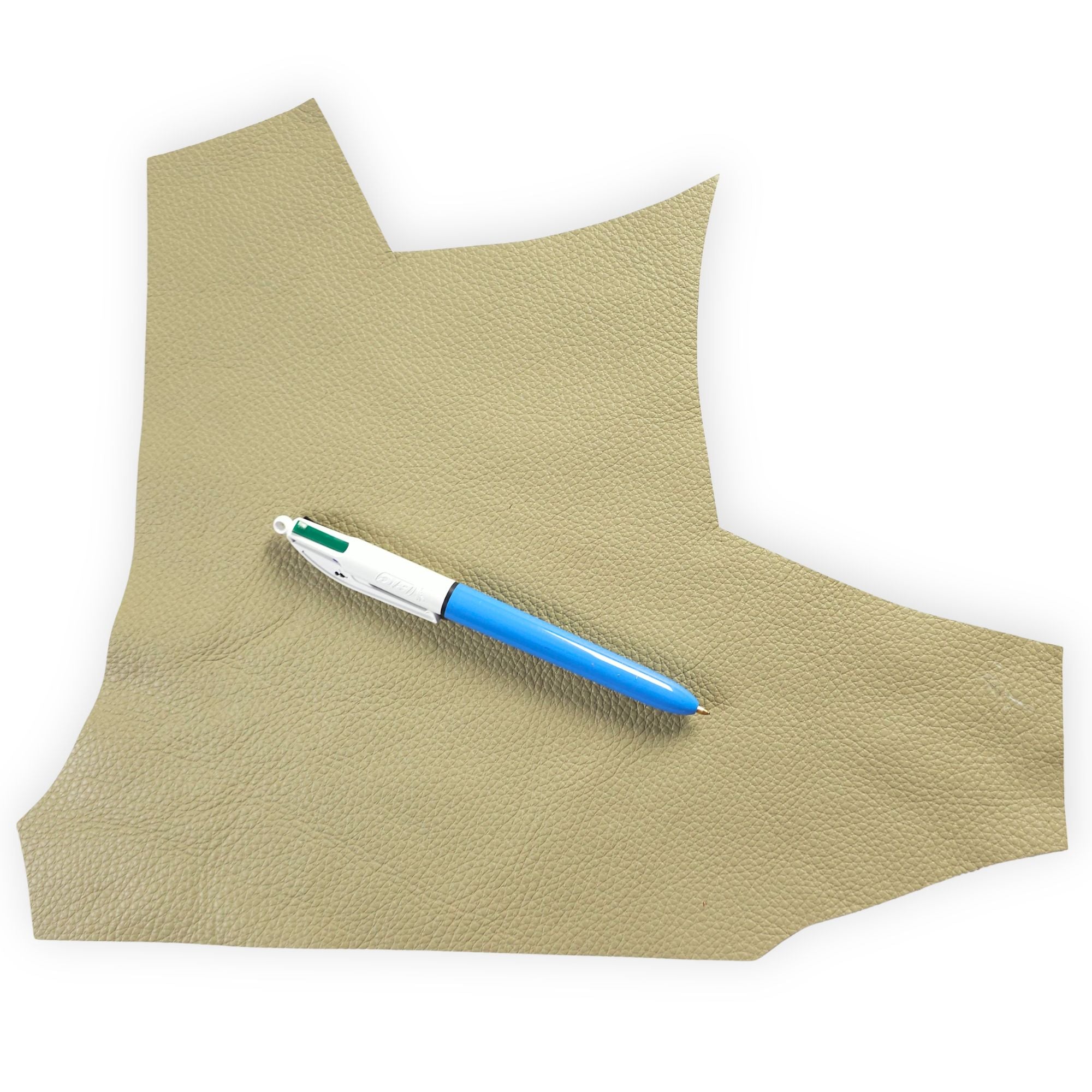 Light olive cowhide leather scrap with pen for size reference