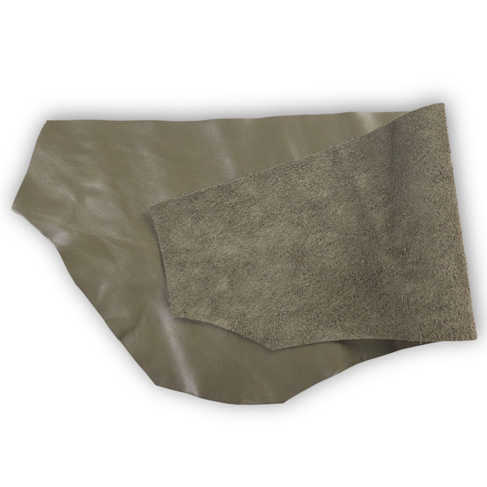 Olive grey cowhide leather scrap showing grain and reverse side