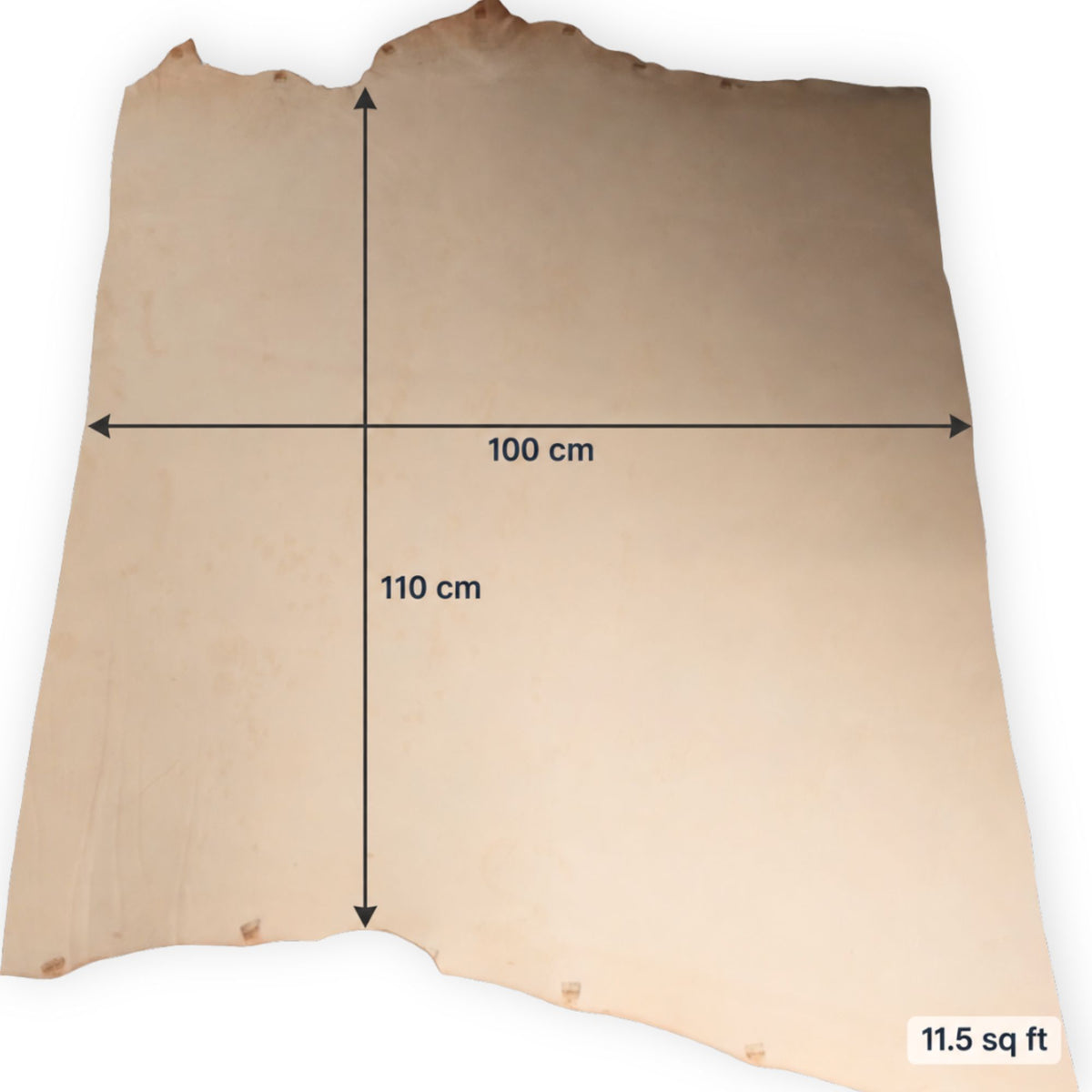 Natural Vegetable-Tanned Cowhide Part Sides – 11.4–14.8 sq ft, 2.5 mm