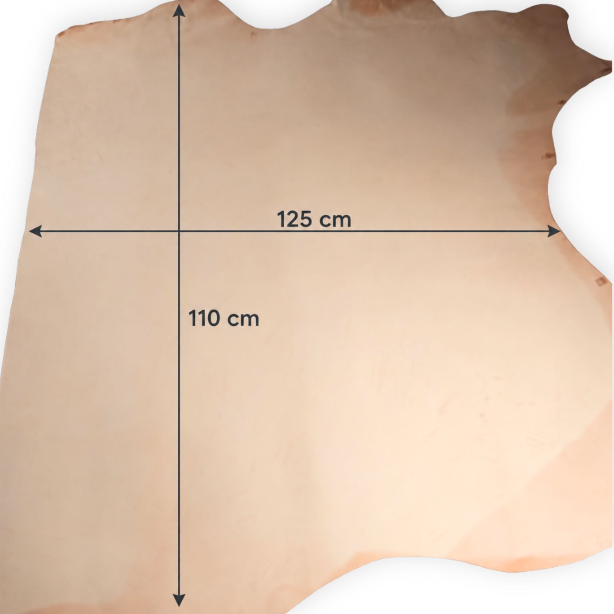 Natural Vegetable-Tanned Cowhide Part Sides – 11.4–14.8 sq ft, 2.5 mm
